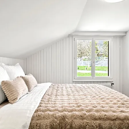 A&y Maison Brienz - House For 12p Holiday home *
