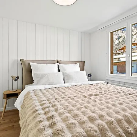 A&y Maison Brienz - House For 12p Holiday home *