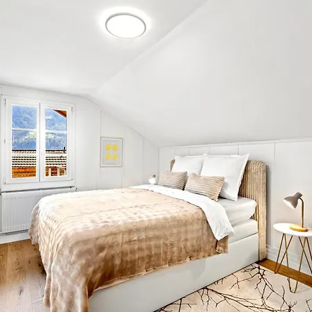 A&y Maison Brienz - House For 12p Holiday home *