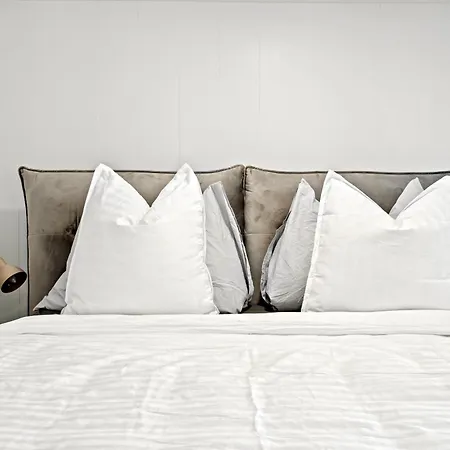 A&y Maison Brienz - House For 12p *